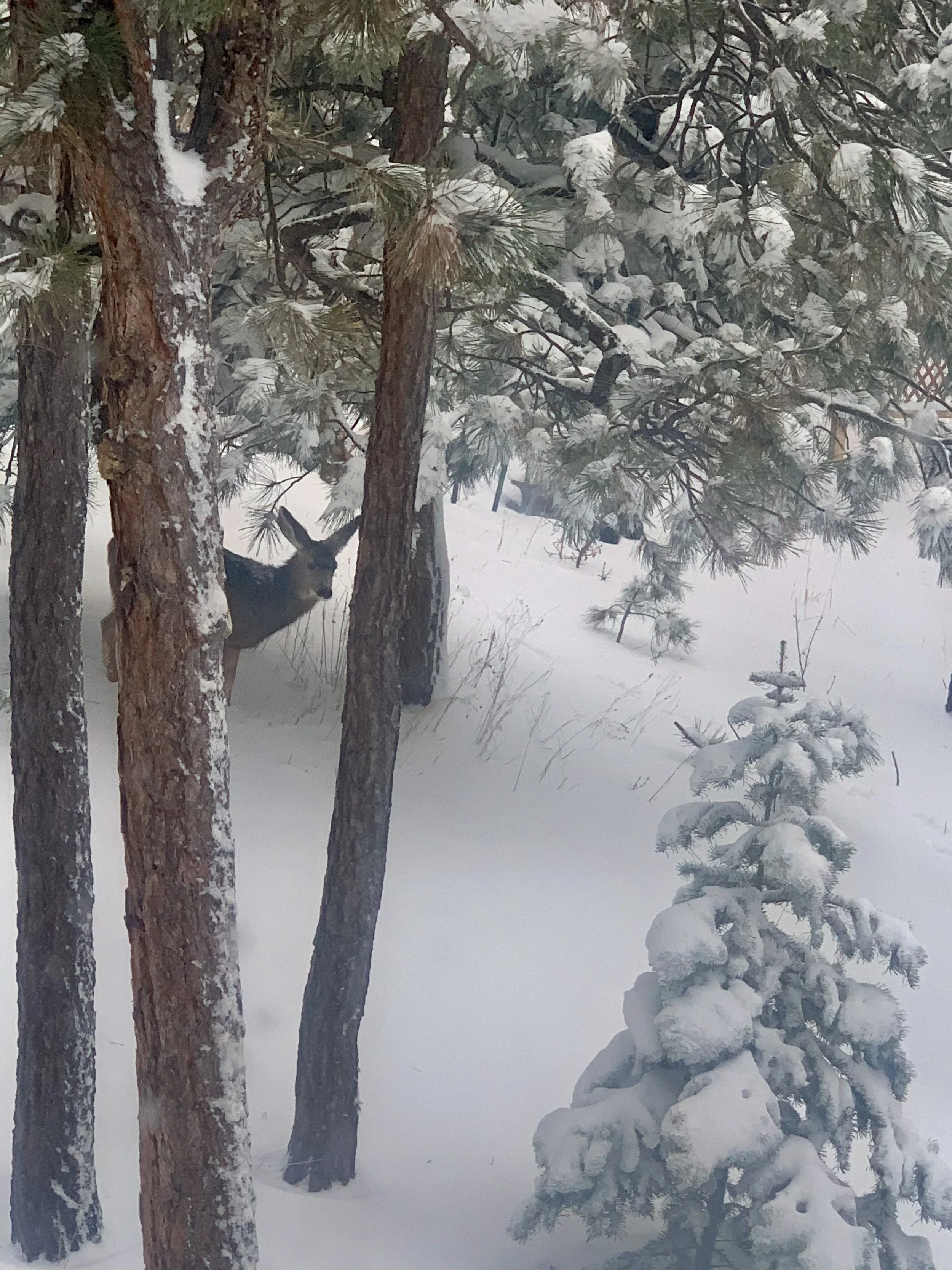 Tea Time Tuesday: Learning to Live For What Matters