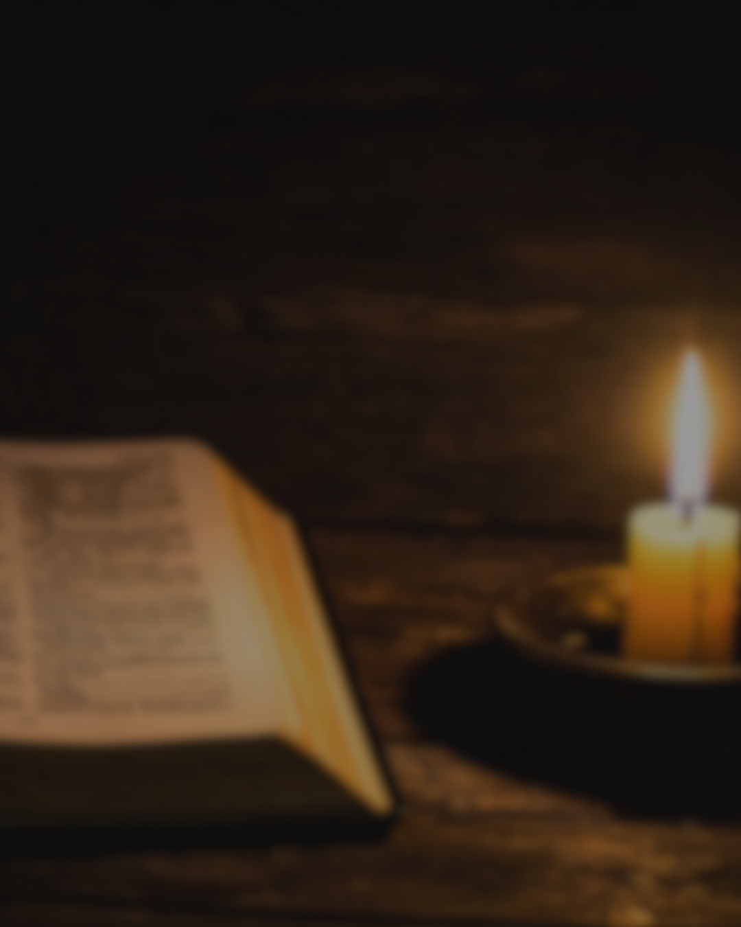 Winter Is A Time To Look For Signs Of Life