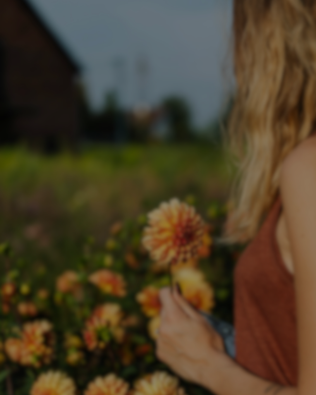 God’s Grace And Beauty Are Eternal