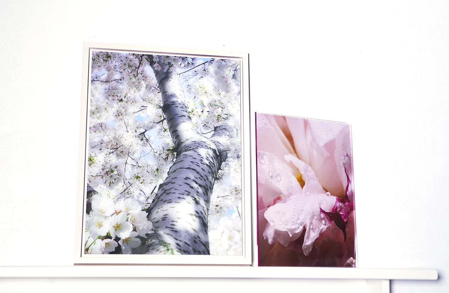 Photograph under Acrylic Glass with Floater Frame, 16.7 x 21.7 (Left) Photograph under Pink Plexi, 11 x 14 (Right)