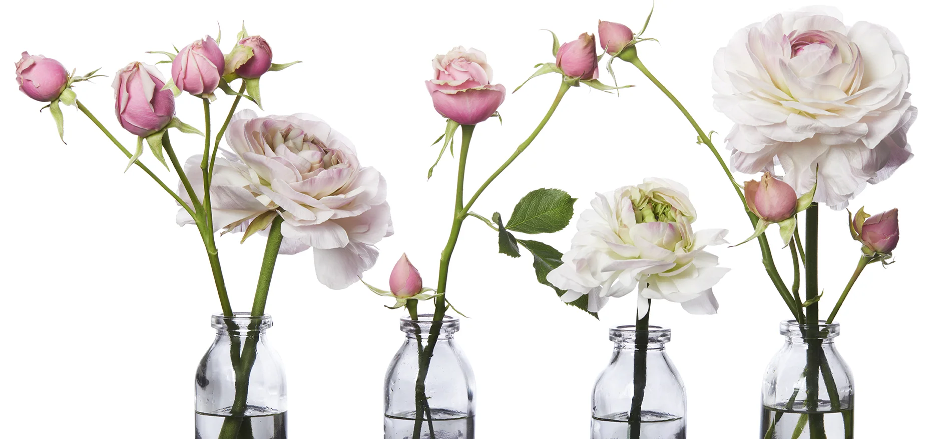 final roses for site.jpg