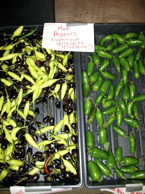 Purple Peruvian, Cayenne, and Jalapeno peppers