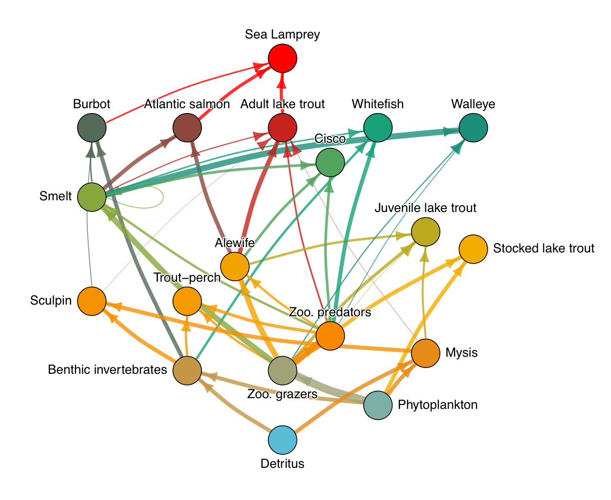 Ecopath Food Web.png