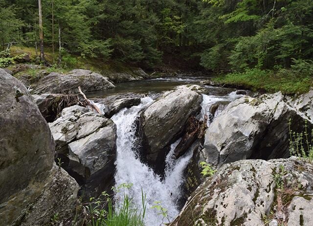 Happy Earth Day from the Rube Lab! Take some time to get into nature and enjoy the 50th anniversary of this incredible day.  I&rsquo;d you&rsquo;re looking to take some action, check out the website: https://www.earthday.org/earth-day-2020/

#earthda