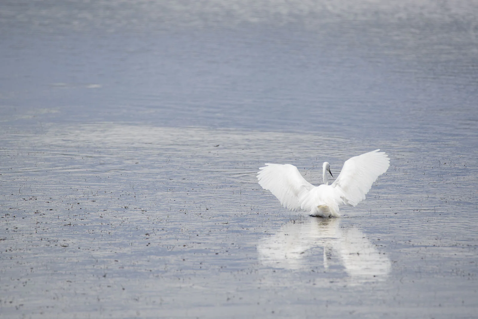 Nice landing