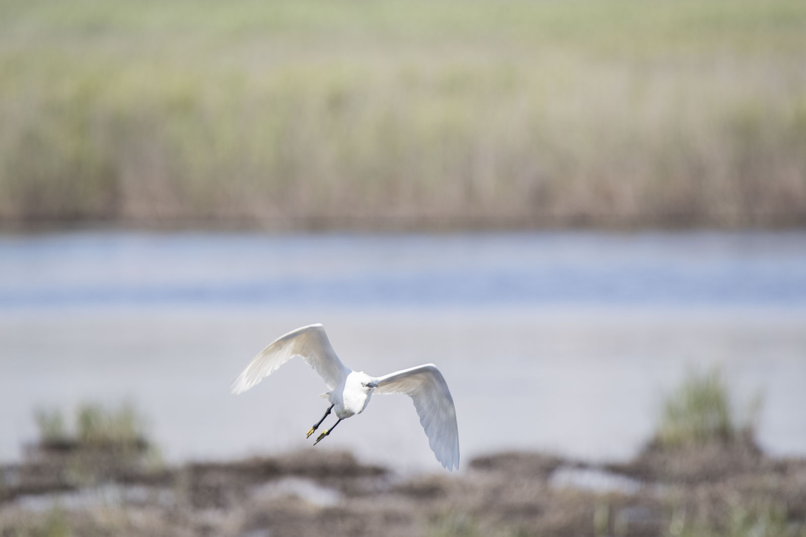 Flight!