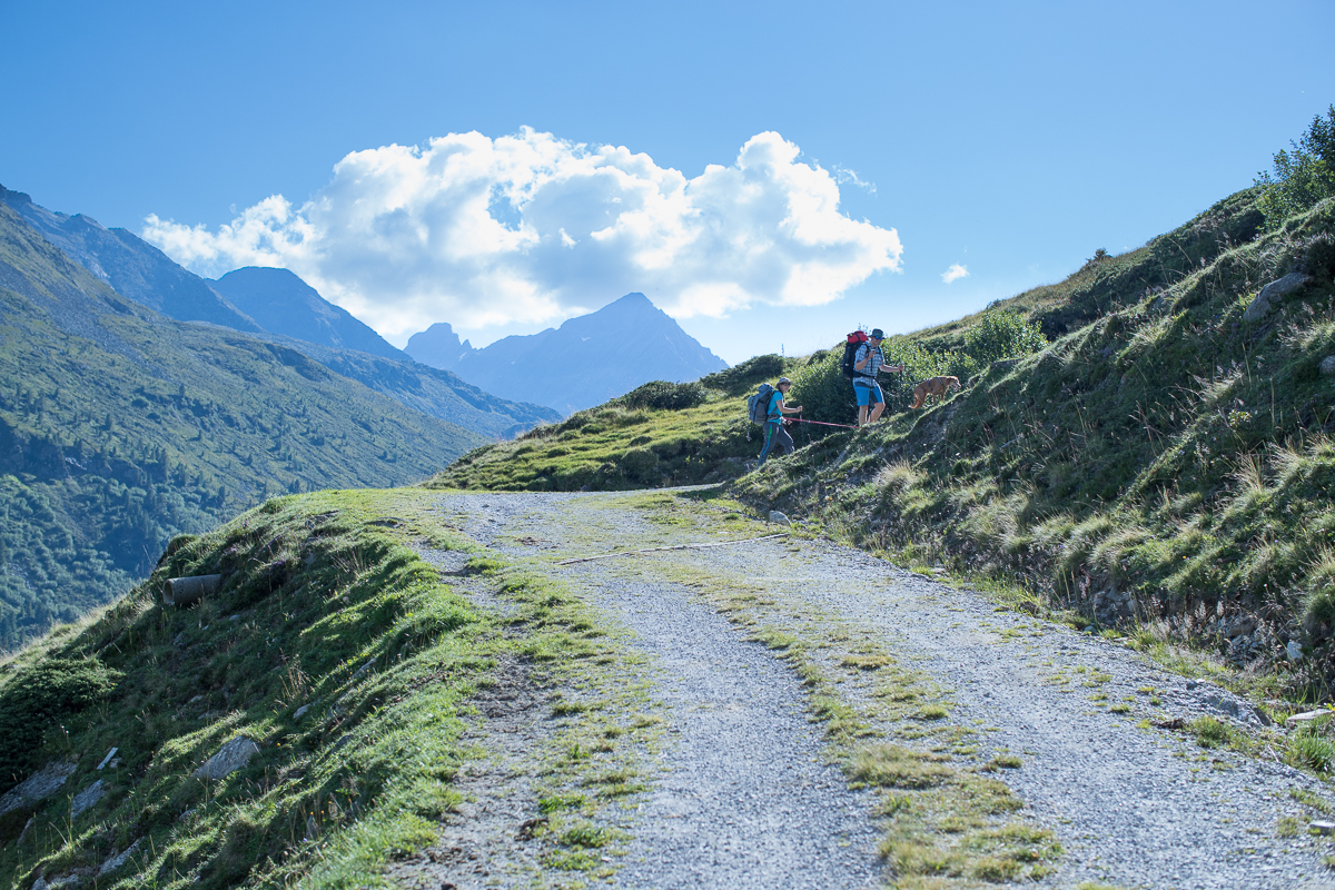 The forest rode windig upwards