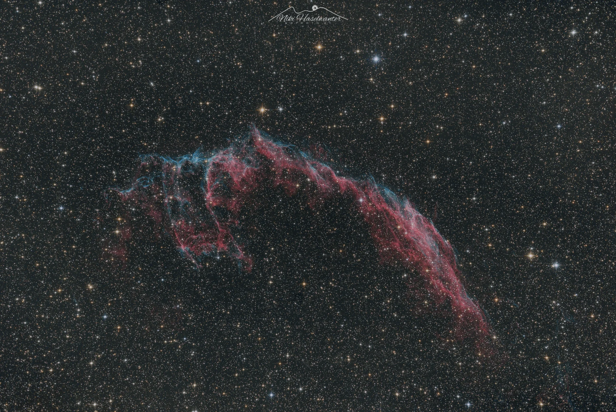 Knochenhand-1.jpg