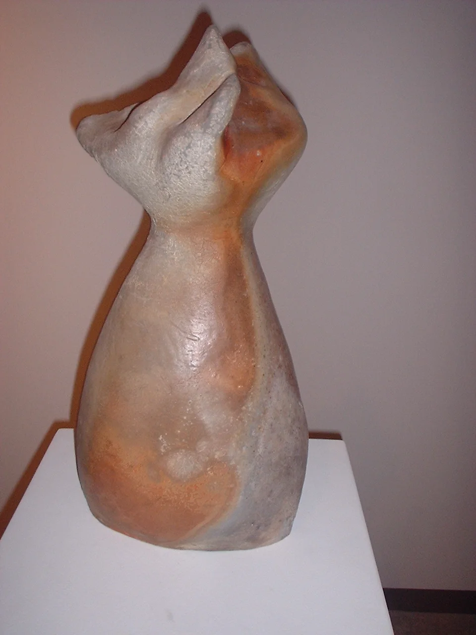 Ali Ceramics Video  (23) - Copy.jpg