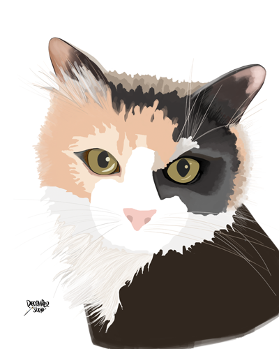 pandy_bear_kitty_(web).png