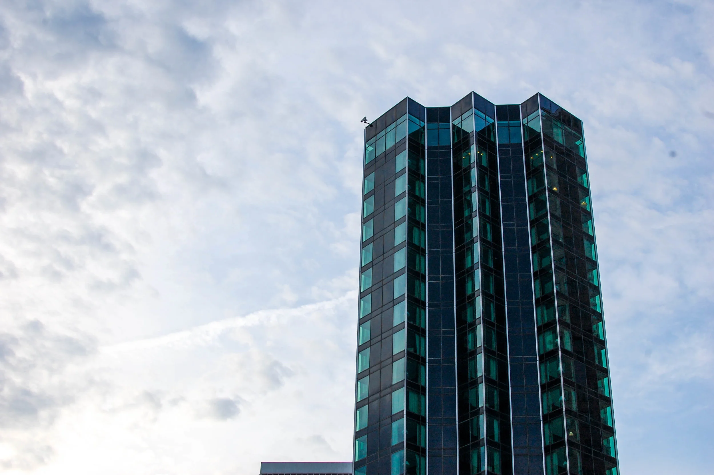 DSC_3391.jpg