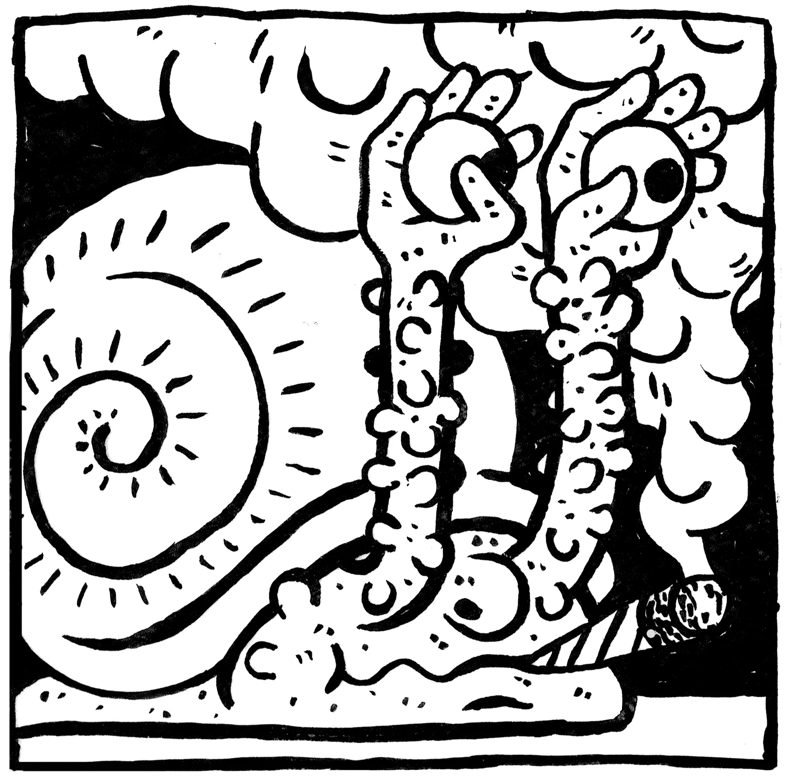 Snail.jpg
