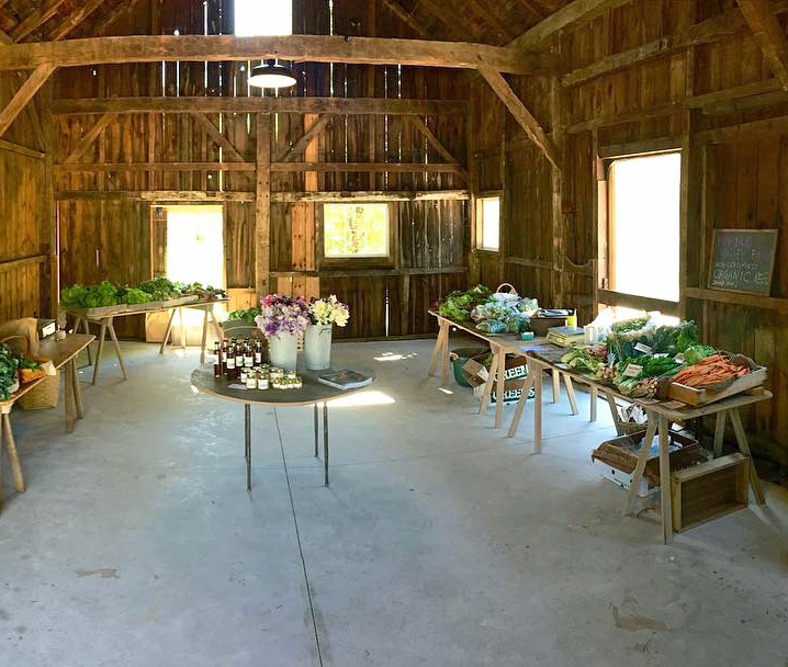 MARBLE VALLEY FARM — p l a n t i n' s e e d s