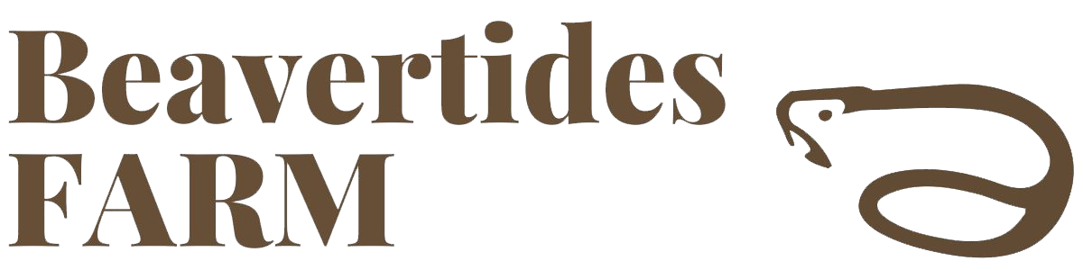 Beavertides
