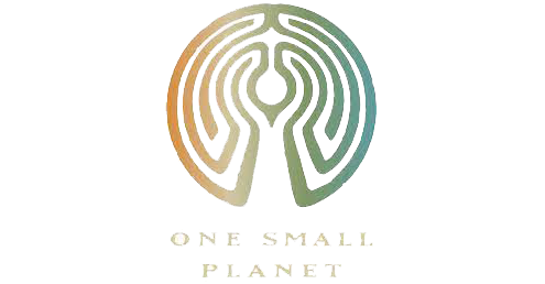 One Small&nbsp;Planet