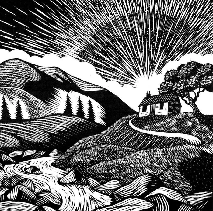 Wild Service: Why Nature Needs You