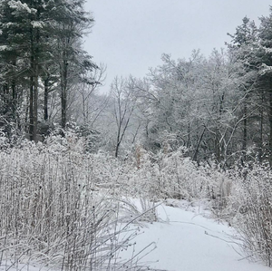 winter7ab.png