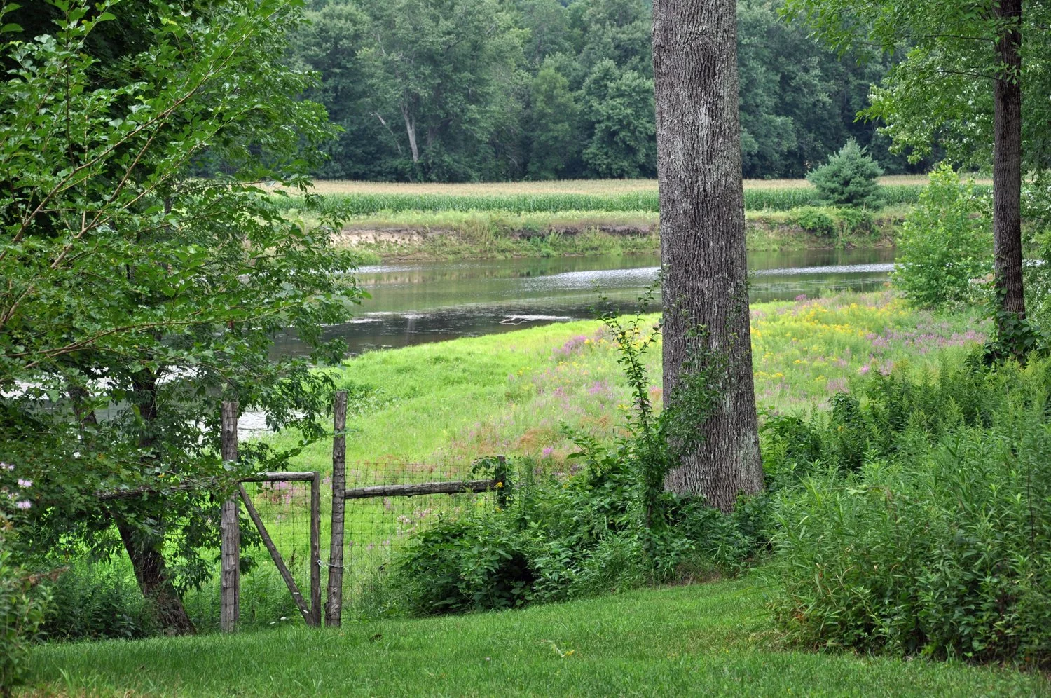 DSC_0645a.jpg