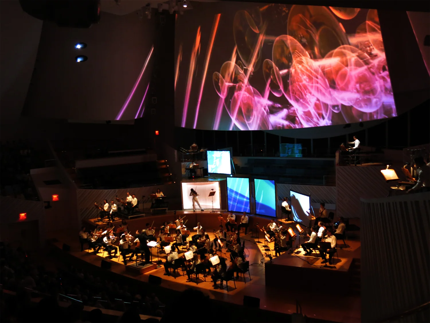 phorion_001.jpg