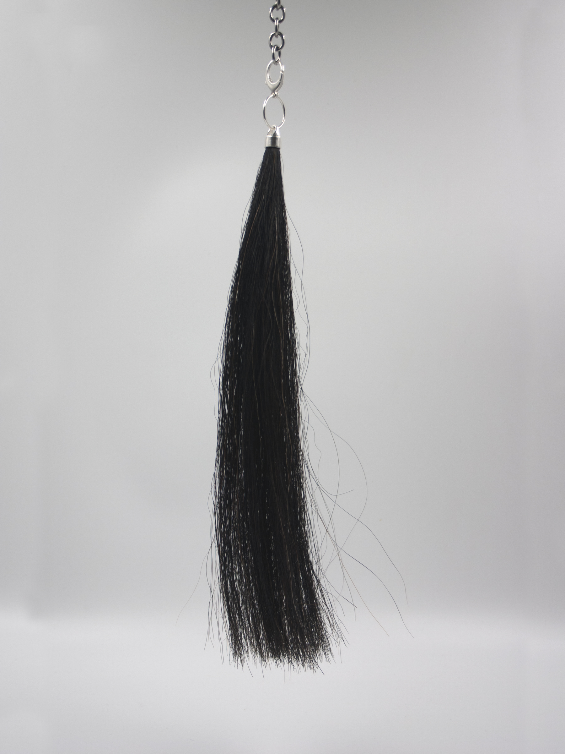 Tzigane_Leash.jpg