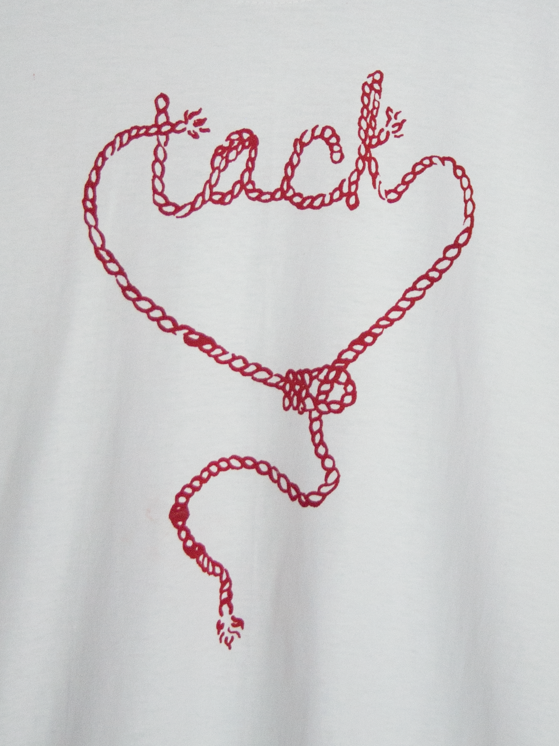 Tack_Lasso_RED DETAIL.png