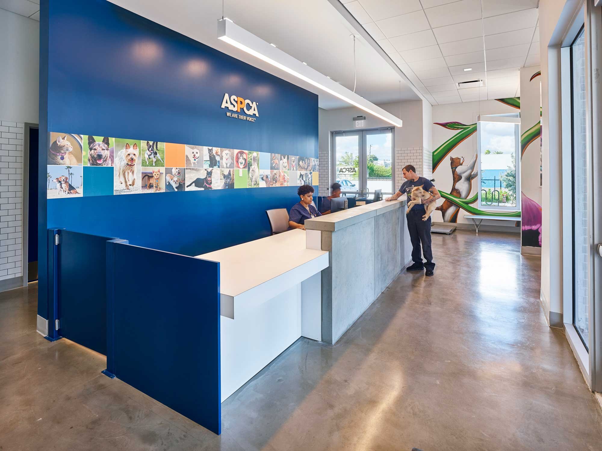 HEALTH &amp; WELLNESS |  ASPCA Liberty City, FL  [click image for case study] 