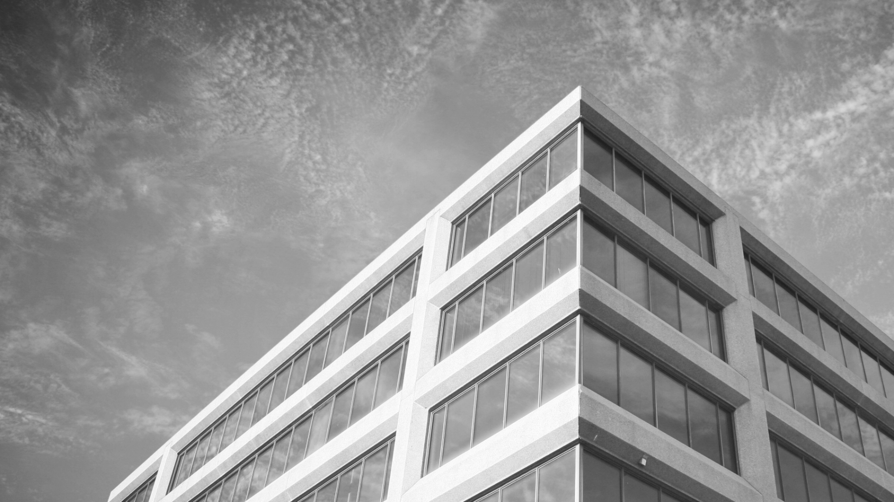 White Gov Building.jpeg