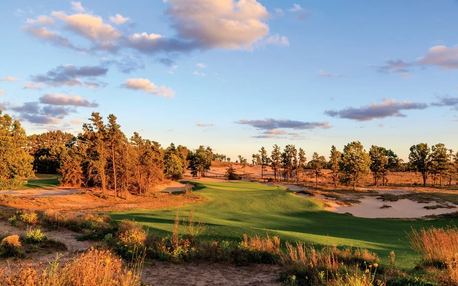 Jack pines and sand prairie surround the 200-yard 14th hole at Sand Valley (photo by Ryan Farrow)