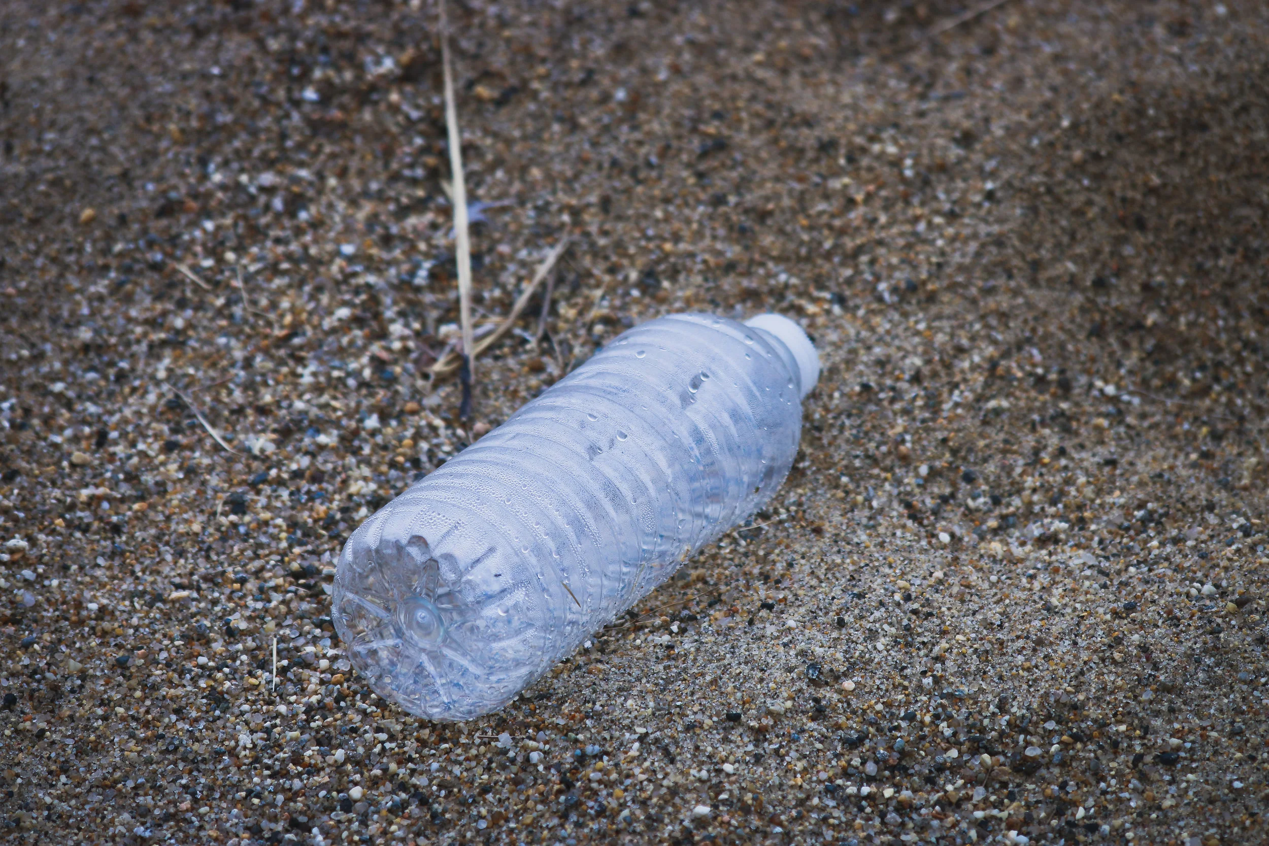 Episode 67:  We Talk Climate Change - Chao Plastic Bags & Straws