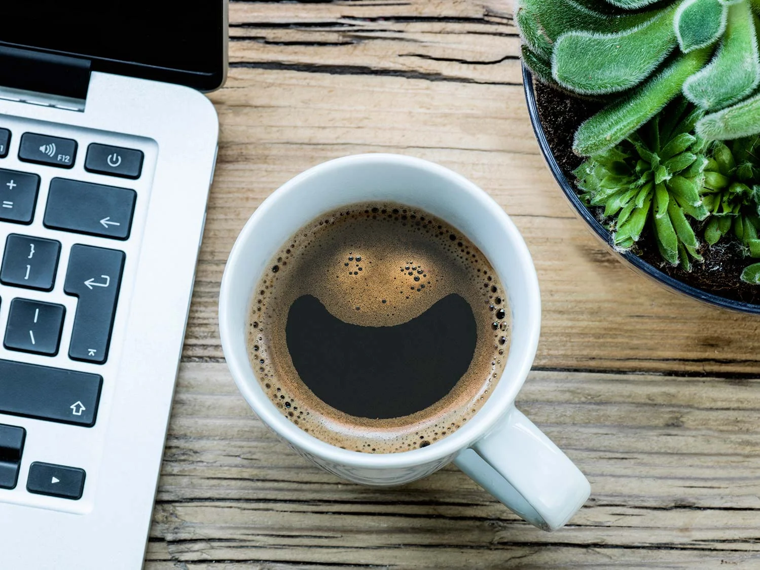 Laptop, coffee and plants in Workspace at The Brighton Studio