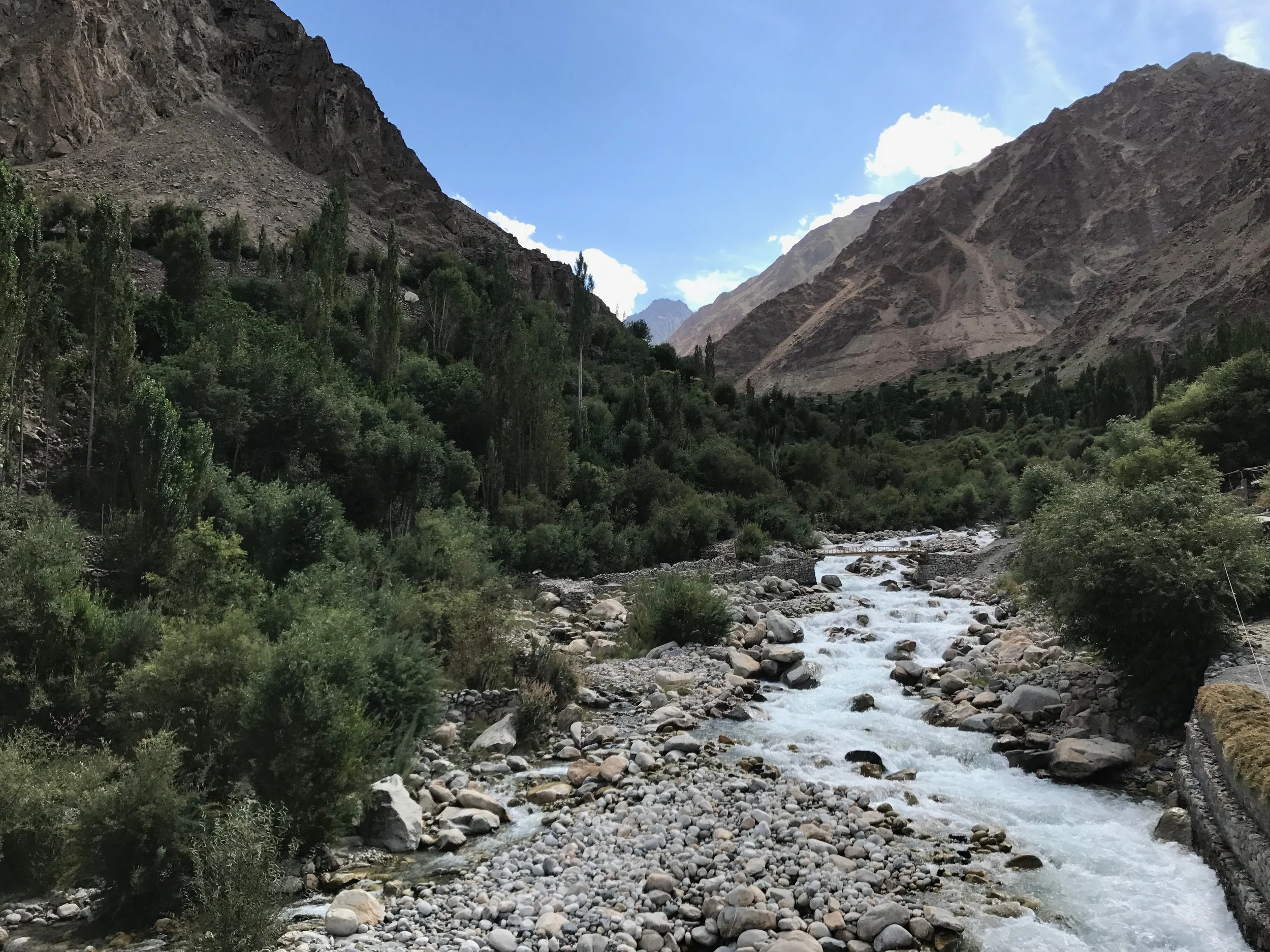 IMG_1190.jpeg