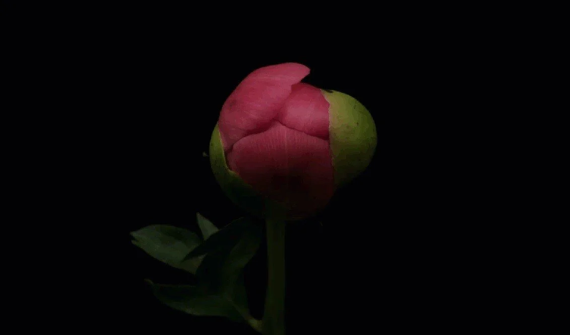 The Power of Inspiration