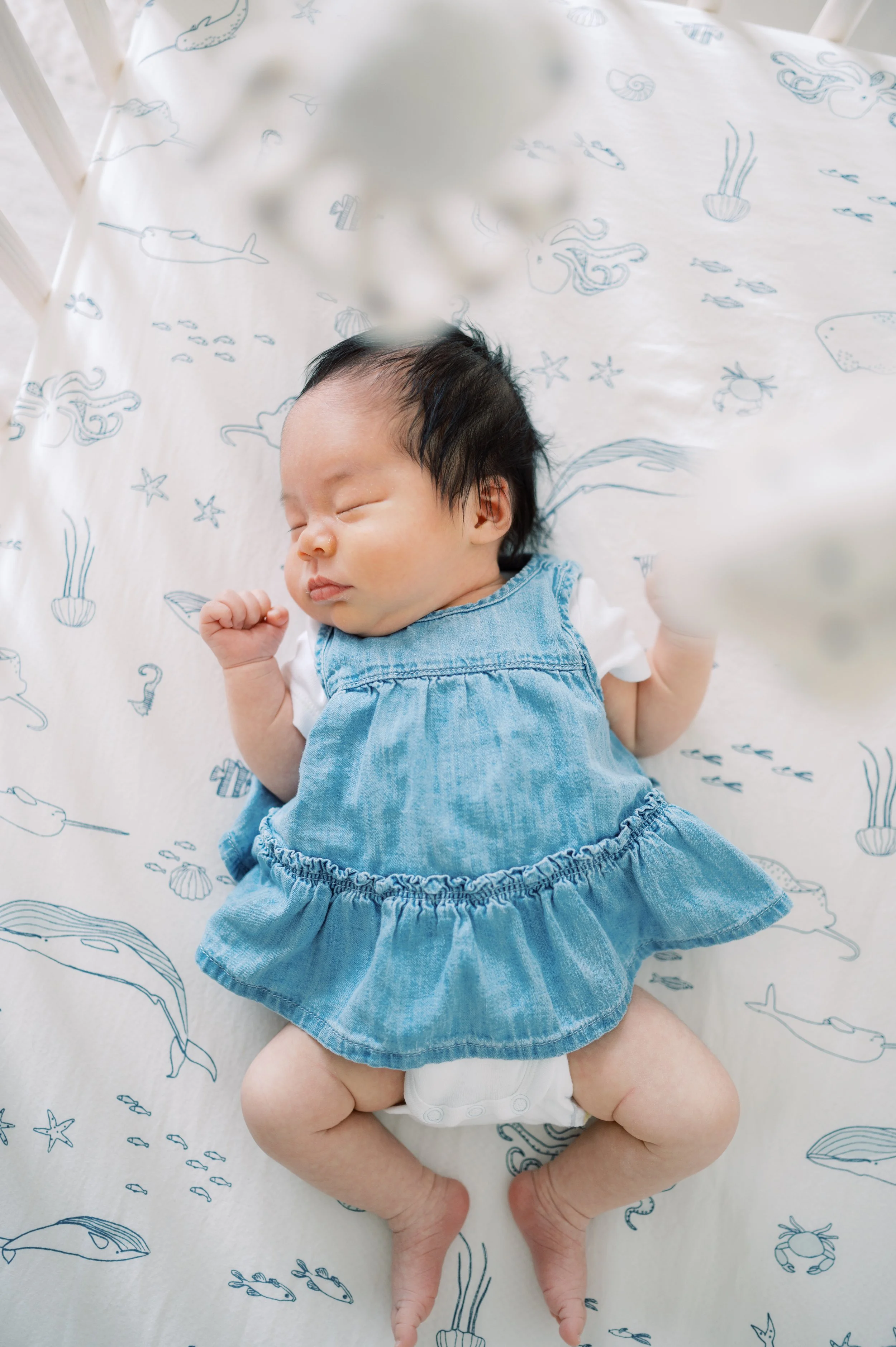 Baby A - Hamilton Newborn Photography