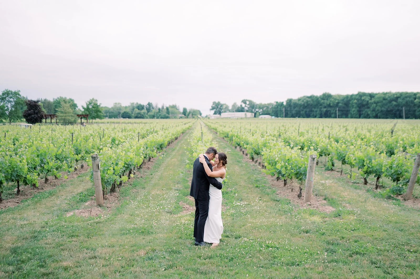 Two Sister's Vineyards Wedding, Niagara Wedding Photographer, Toronto Wedding Photographer, Ontario Vineyard Wedding, Vineyard Wedding Photography