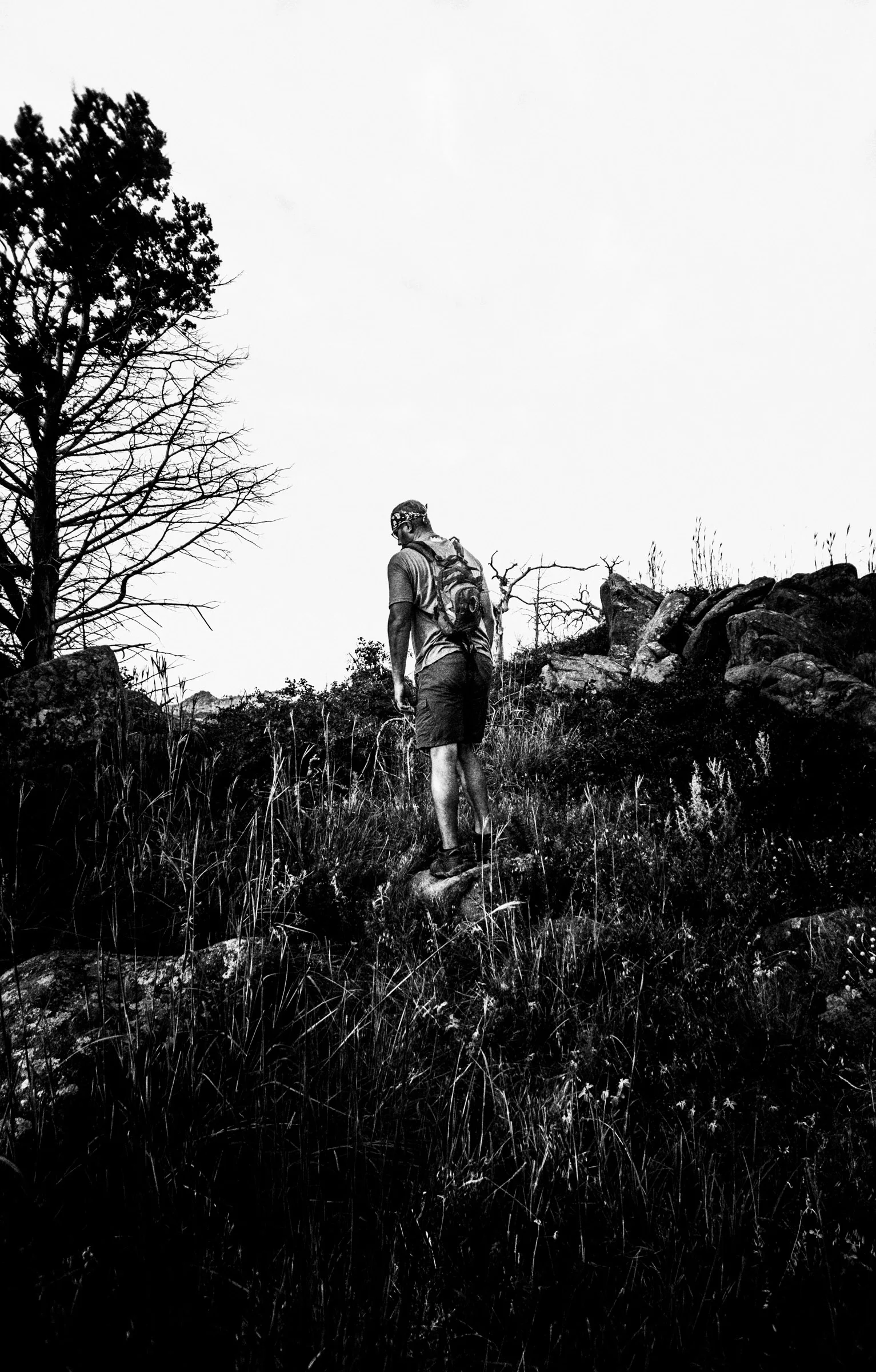 Mount Mitchell B&W 08-07-16 (2 of 35).jpg