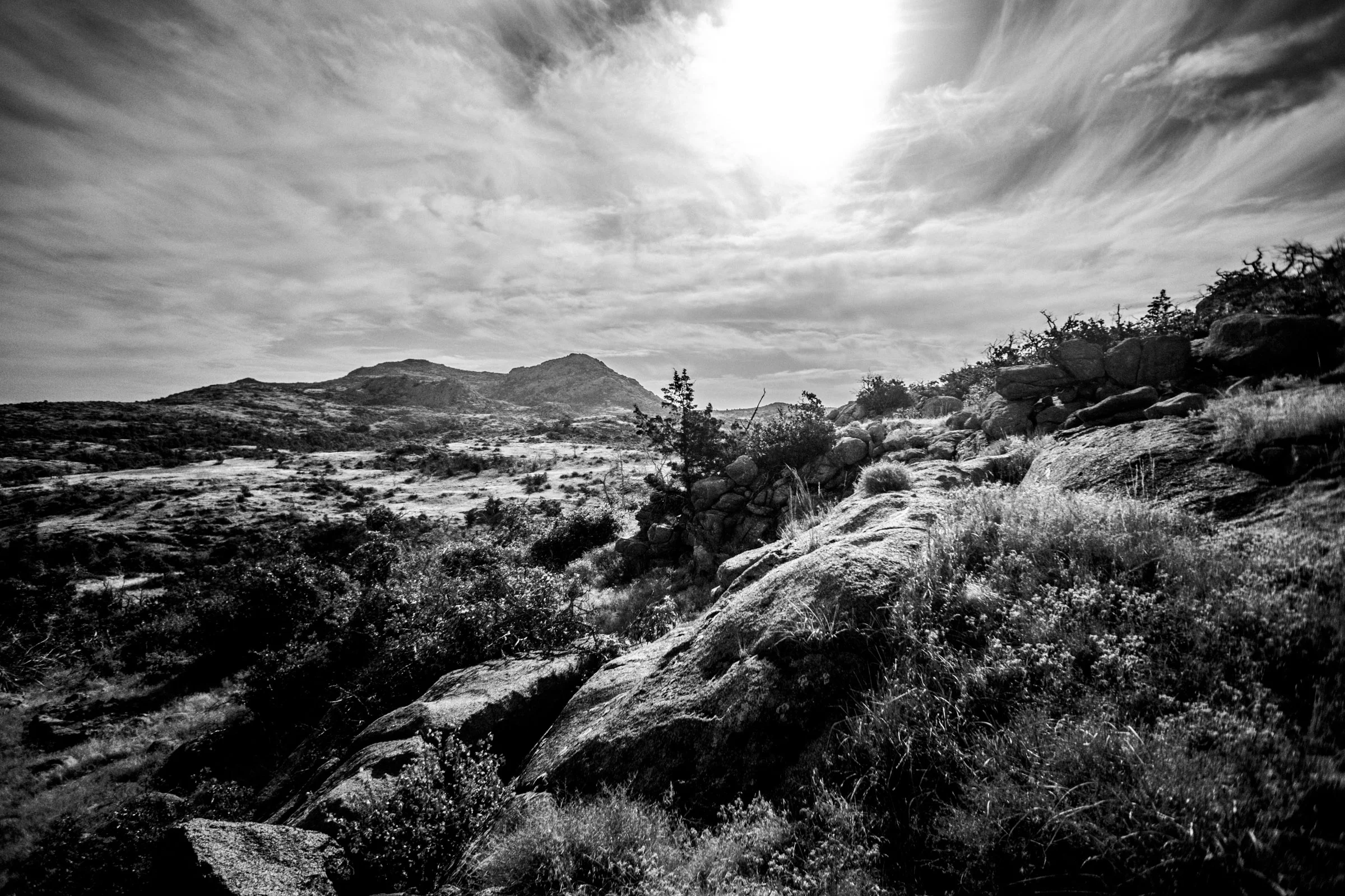 Mount Mitchell B&W 08-07-16 (15 of 35).jpg