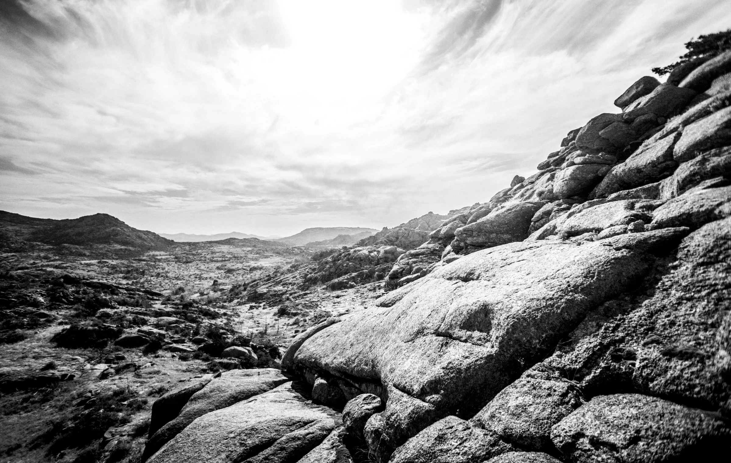 Mount Mitchell B&W 08-07-16 (16 of 35).jpg