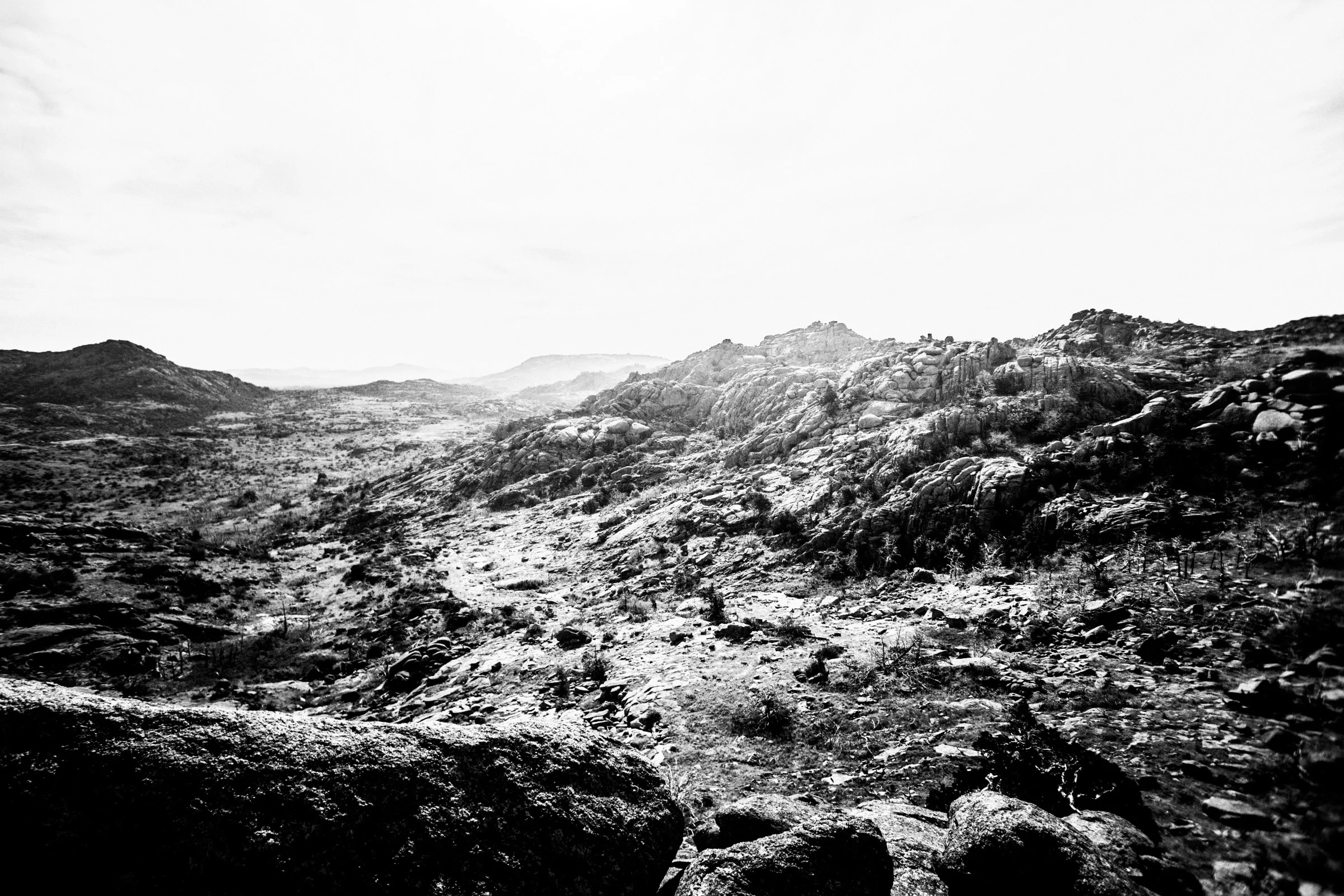 Mount Mitchell B&W 08-07-16 (20 of 35).jpg