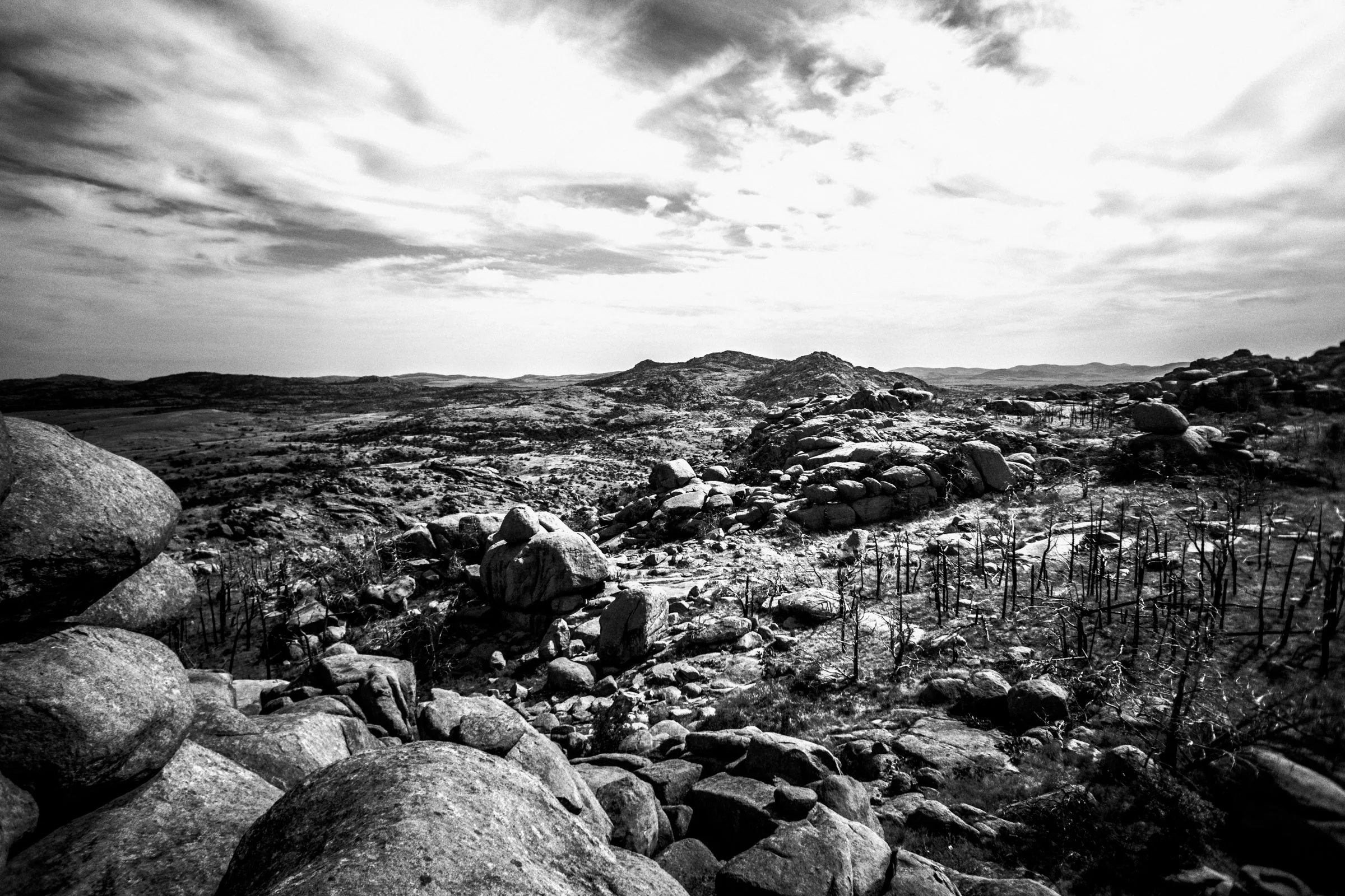 Mount Mitchell B&W 08-07-16 (29 of 35).jpg