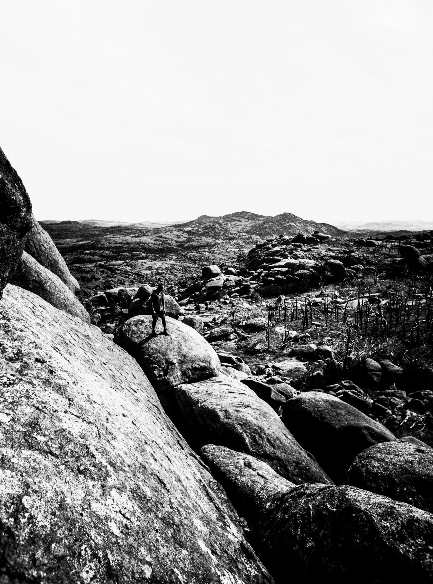 Mount Mitchell B&W 08-07-16 (30 of 35).jpg