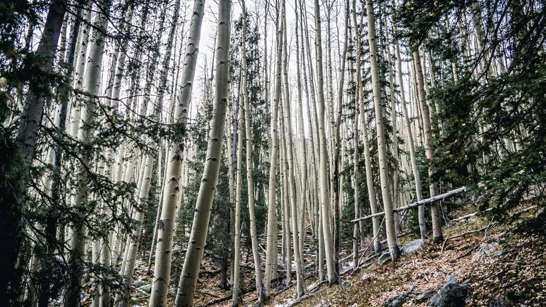 womenwhoexplore-womenwhohike-toddeclark-nature-adventure-mountains-mountain-outdoors-hike-wanderlust-beautiful-naturelovers-love-view-outdoor-neverstopexploring-backpacking-climbing-wilderness-optoutside-keepitwild-bw-5.jpg