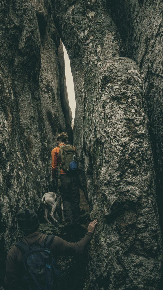 womenwhohike-dogshiking-toddeclark-nature-adventure-mountains-mountain-outdoors-hike-wanderlust-beautiful-naturelovers-love-view-outdoor-neverstopexploring-backpacking-climbing-wilderness-optoutside-keepitwild-15.jpg