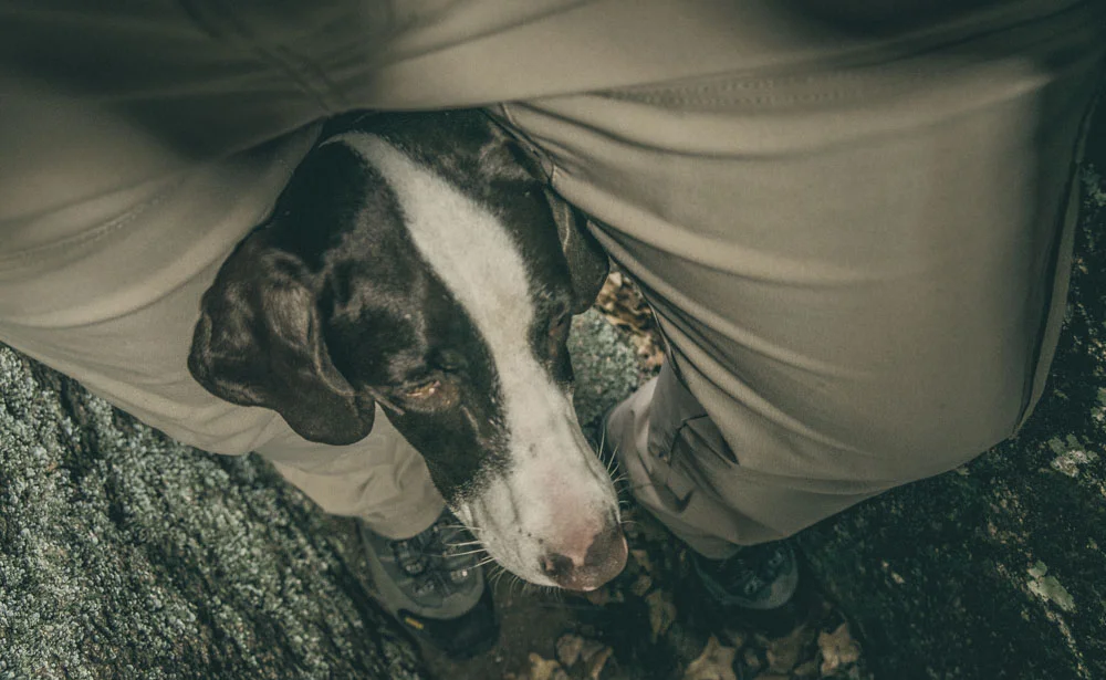 womenwhohike-dogshiking-toddeclark-nature-adventure-mountains-mountain-outdoors-hike-wanderlust-beautiful-naturelovers-love-view-outdoor-neverstopexploring-backpacking-climbing-wilderness-optoutside-keepitwild-23.jpg