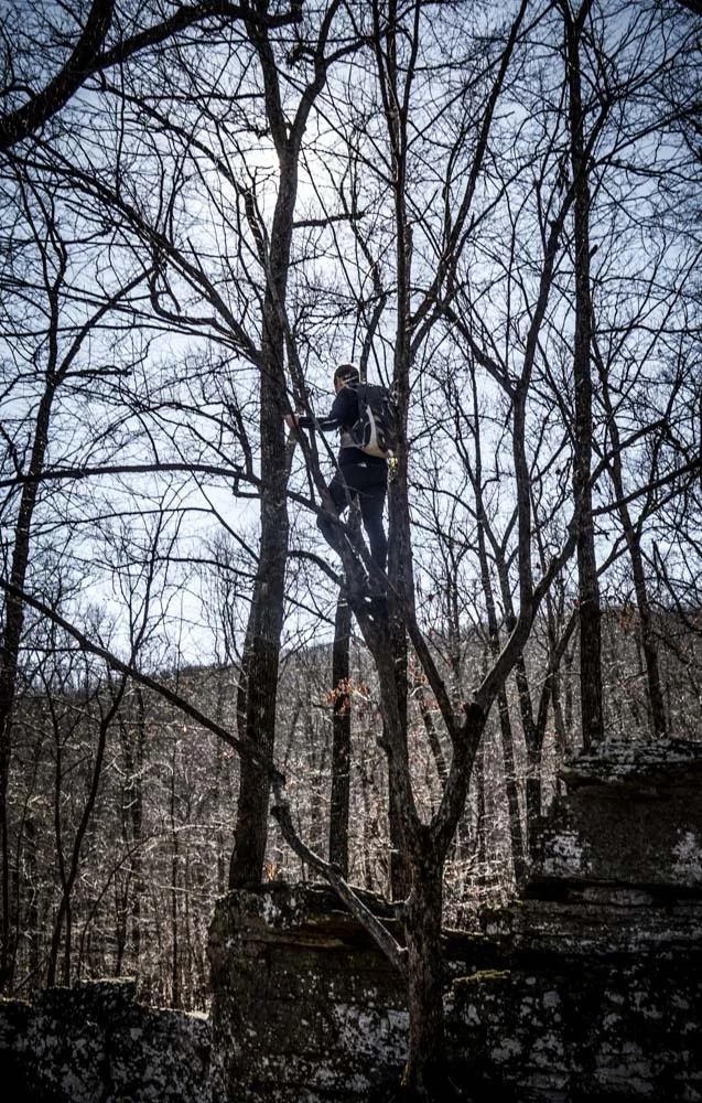 Womenwhoexplore-womenwhohike-dogshiking-dogswhohike-toddeclark-nature-adventure-mountains-mountain-outdoors-hike-wanderlust-beautiful-naturelovers-view-outdoor-neverstopexploring-backpacking-wilderness-optoutside-keepitwild-3.jpg