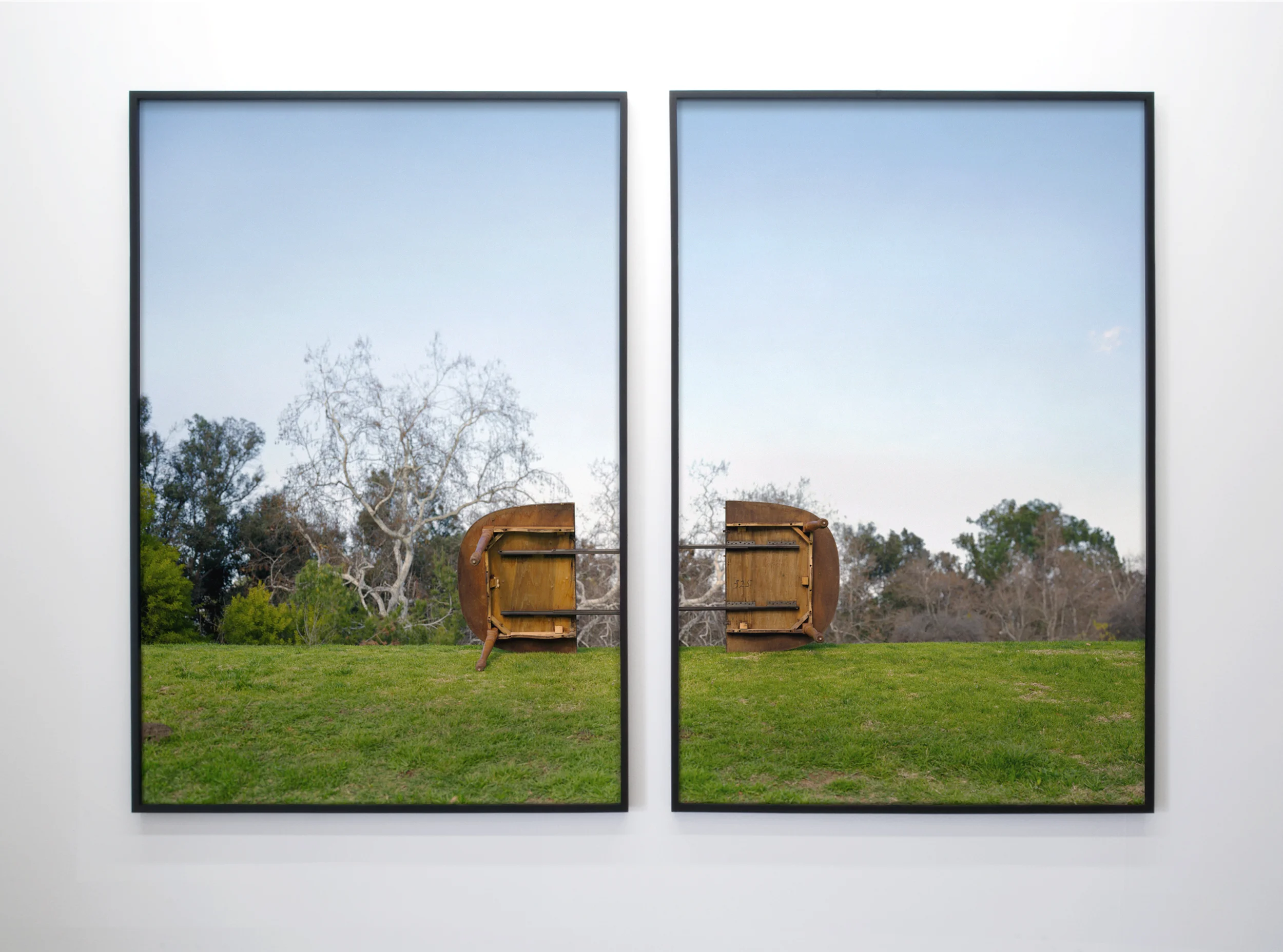 Exuviation Consort 2008 two chromogenic prints on acrylic with lacquer and maple frames