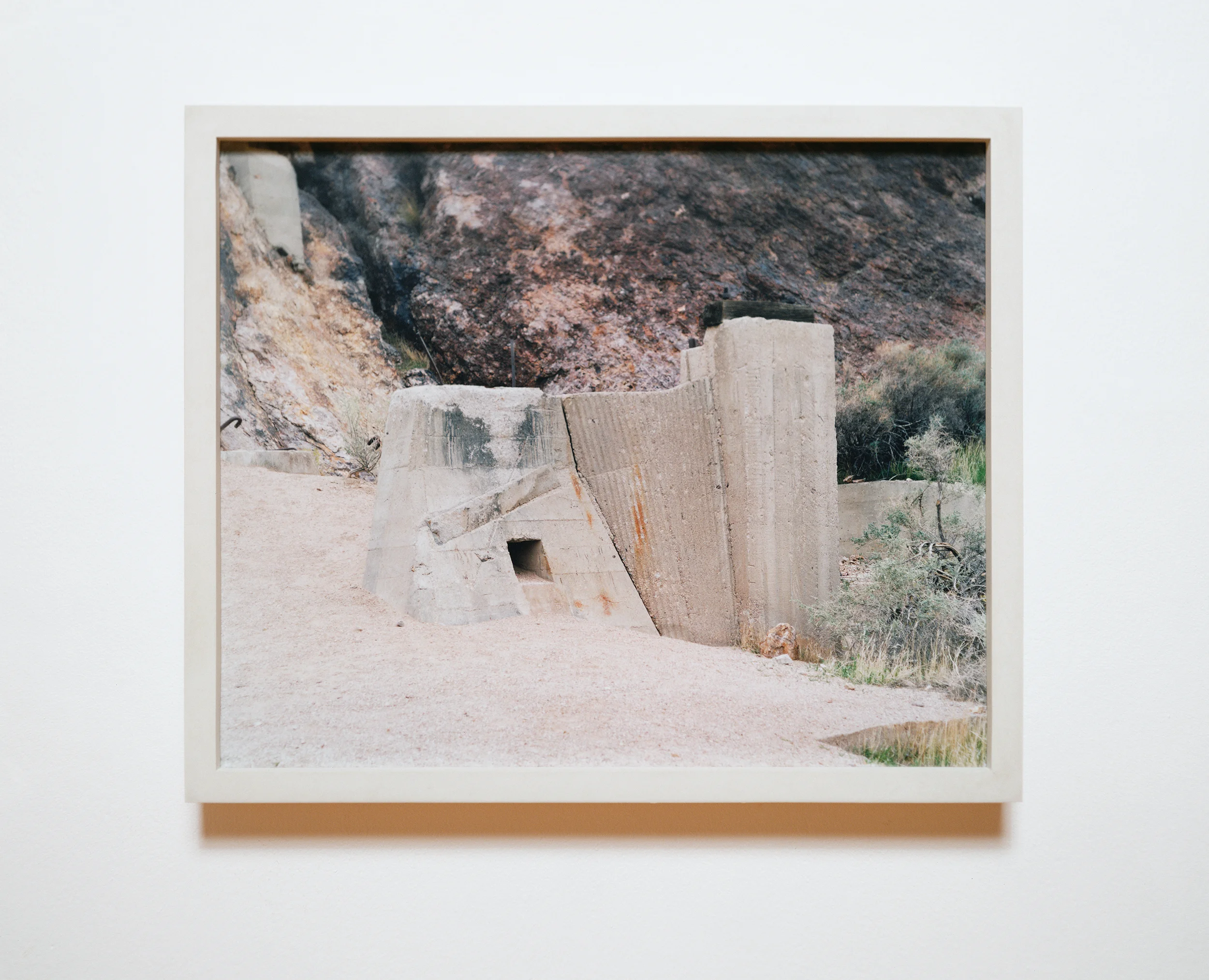 Recent Cures 2007 chromogenic print on acrylic with steel reinforced concrete frame