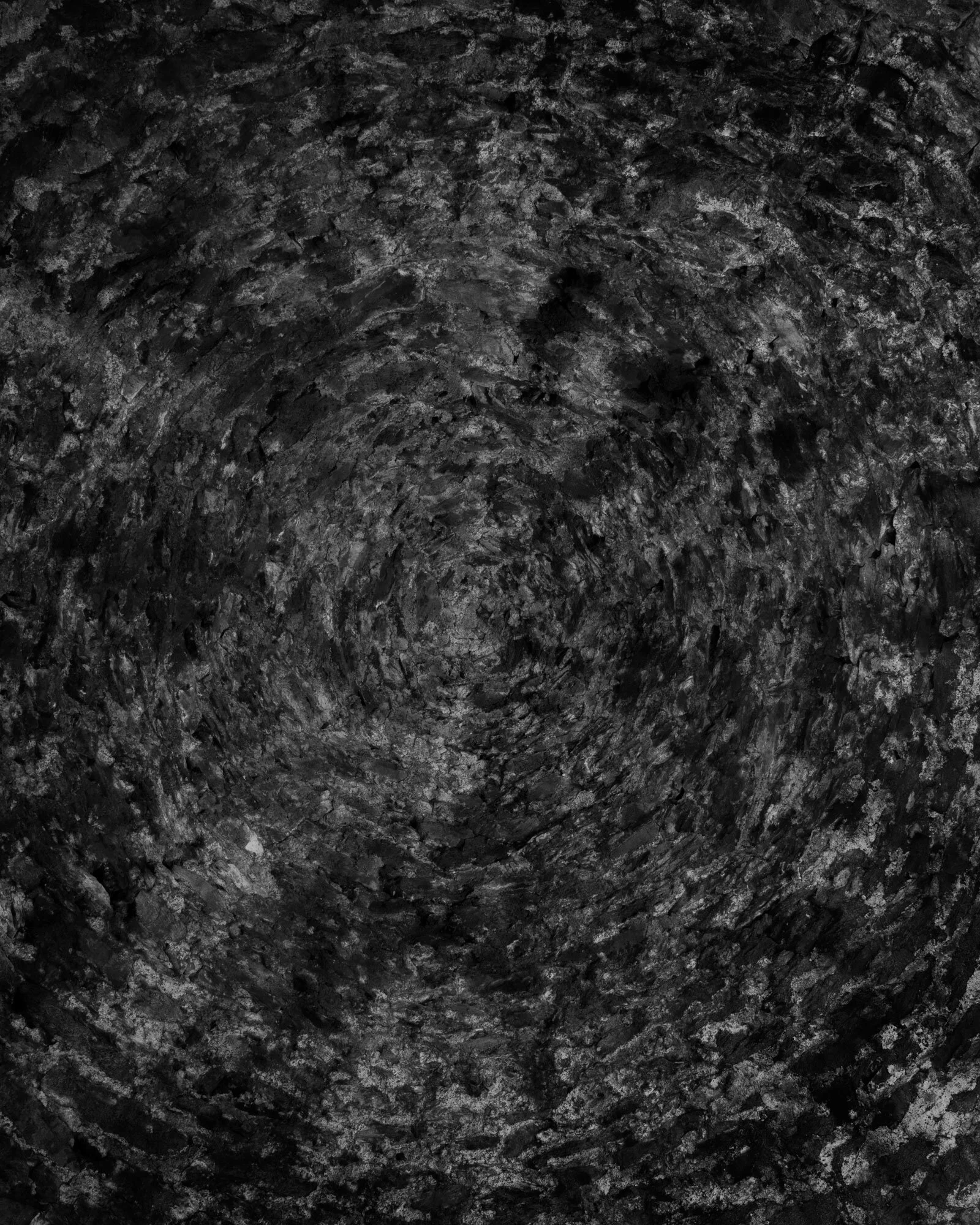 II 2019 carbon inkjet print