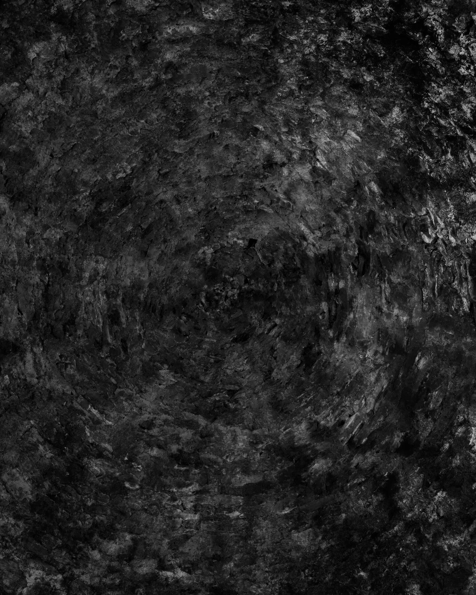 III 2019 carbon inkjet print