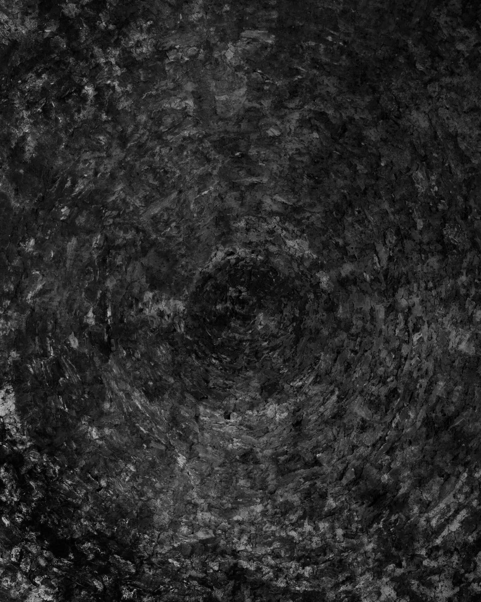 VI 2019 carbon inkjet print