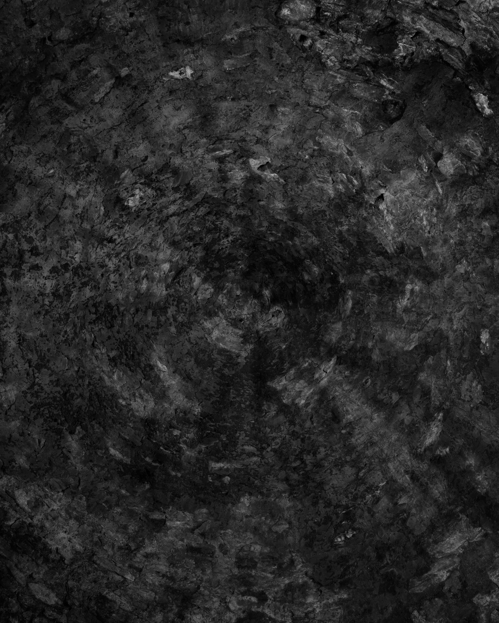 VII 2019 carbon inkjet print